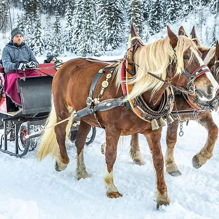 Appartement Aigenberg